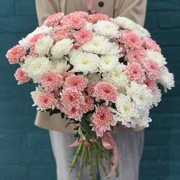 15 хризантем “Пышка“
