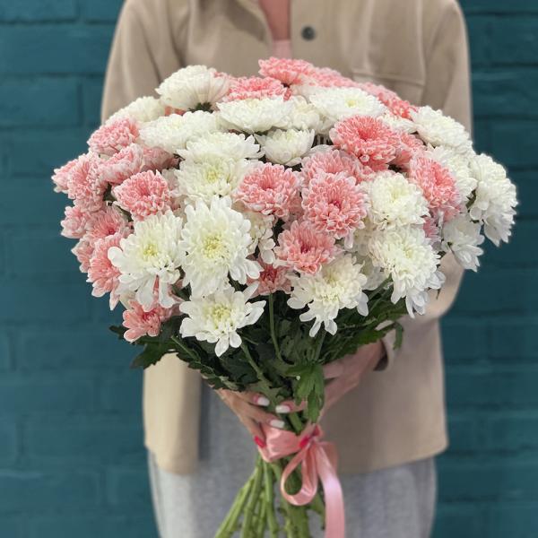 15 хризантем “Пышка“