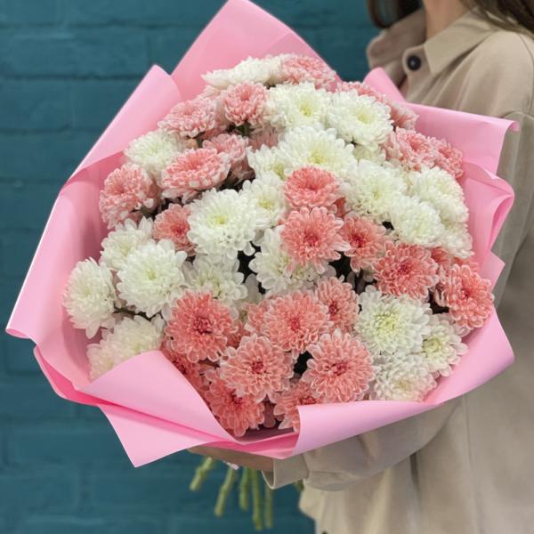 15 хризантем “Кокетка“