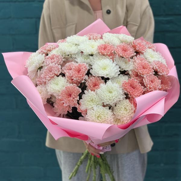 15 хризантем “Кокетка“