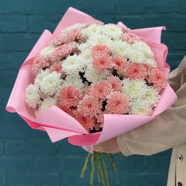 15 хризантем “Кокетка“