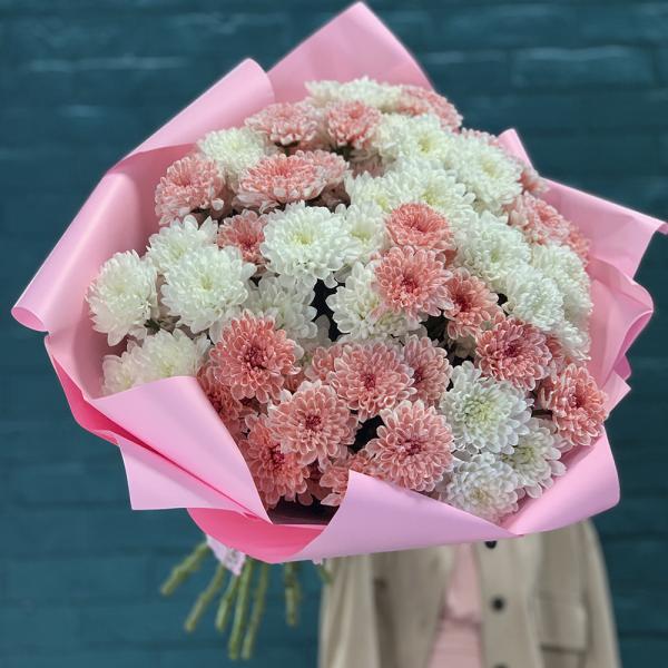15 хризантем “Кокетка“