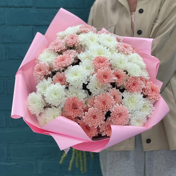 15 хризантем “Кокетка“