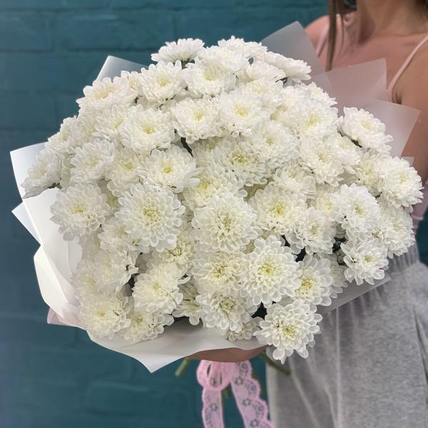 15 хризантем “Безумная мечта“