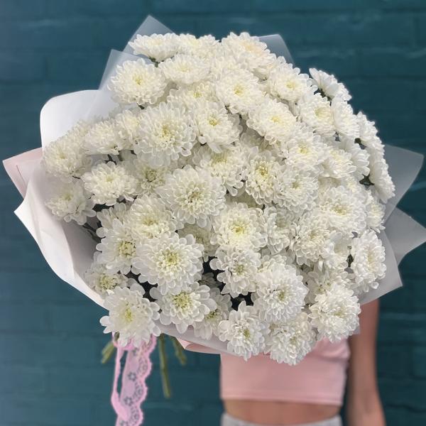 15 хризантем “Безумная мечта“