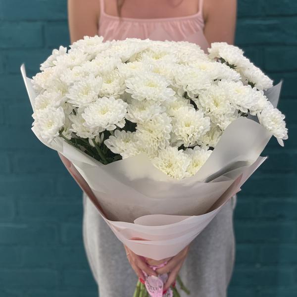 15 хризантем “Безумная мечта“