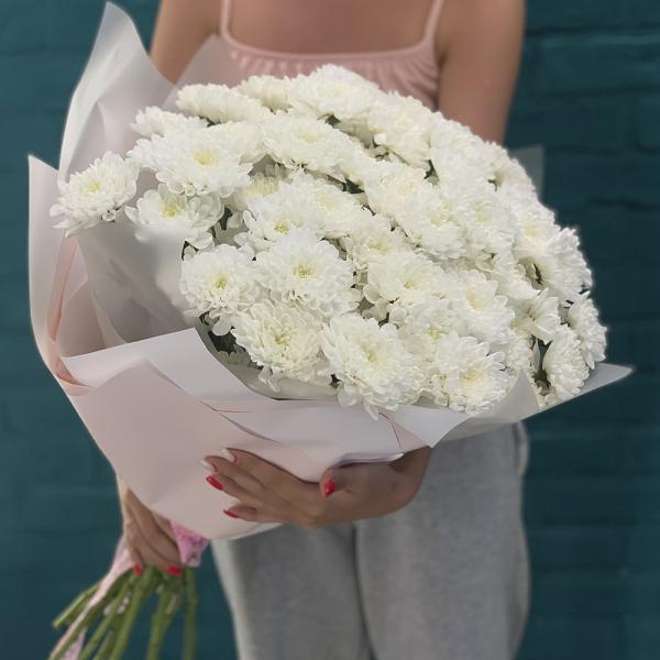 15 хризантем “Безумная мечта“