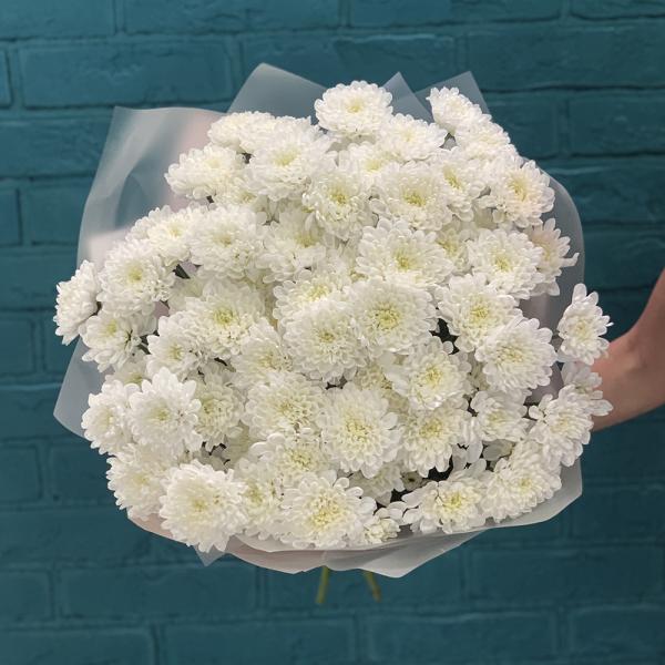 15 хризантем “Безумная мечта“