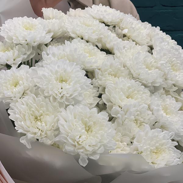 15 хризантем “Безумная мечта“