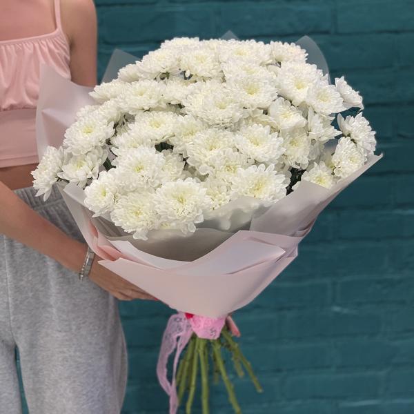 15 хризантем “Безумная мечта“