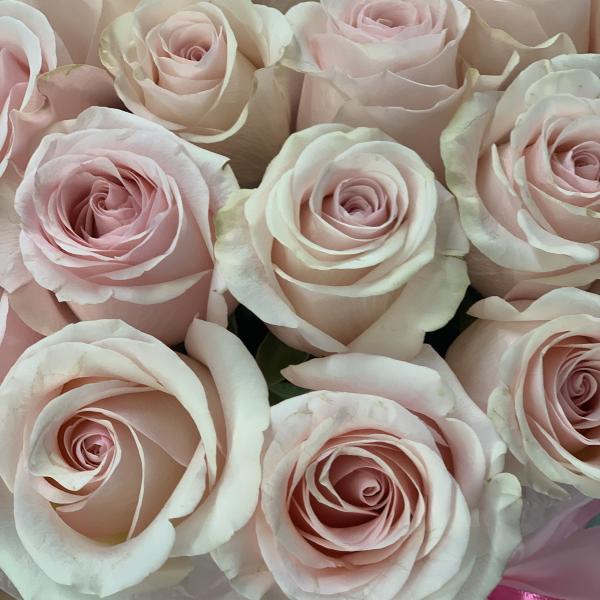 39 роз "Сад императора"