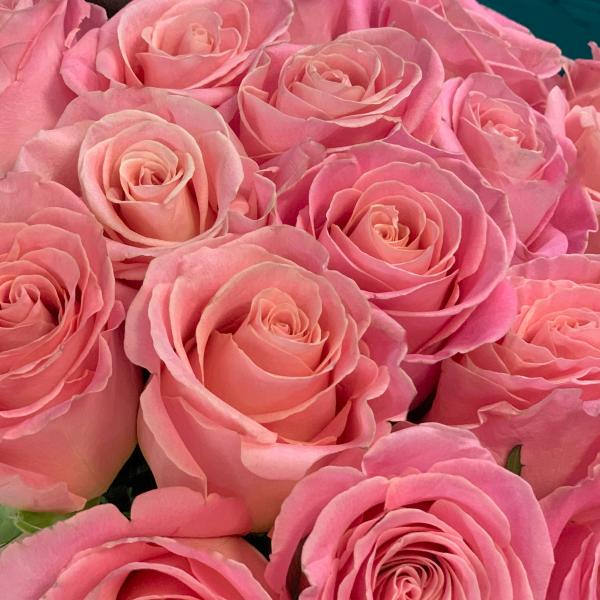 25 розовых роз "Розовый пудинг"