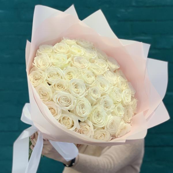 41 белая роза "Взбитые сливки"