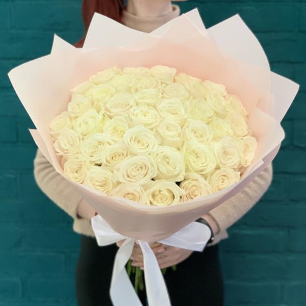 41 белая роза "Взбитые сливки"