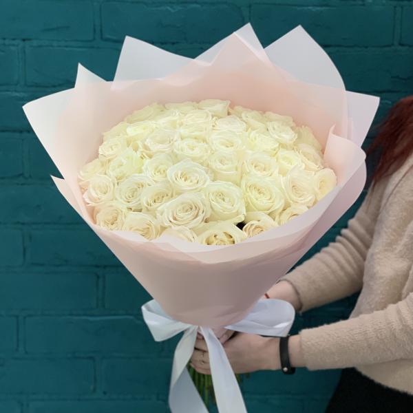 41 белая роза "Взбитые сливки"