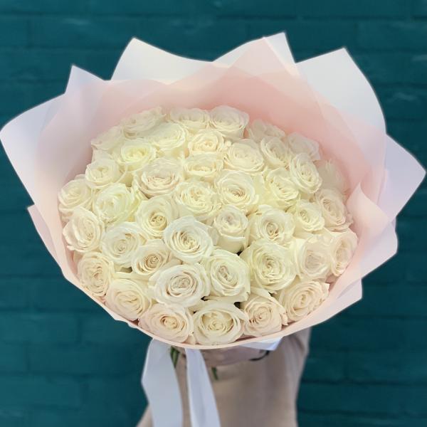 41 белая роза "Взбитые сливки"