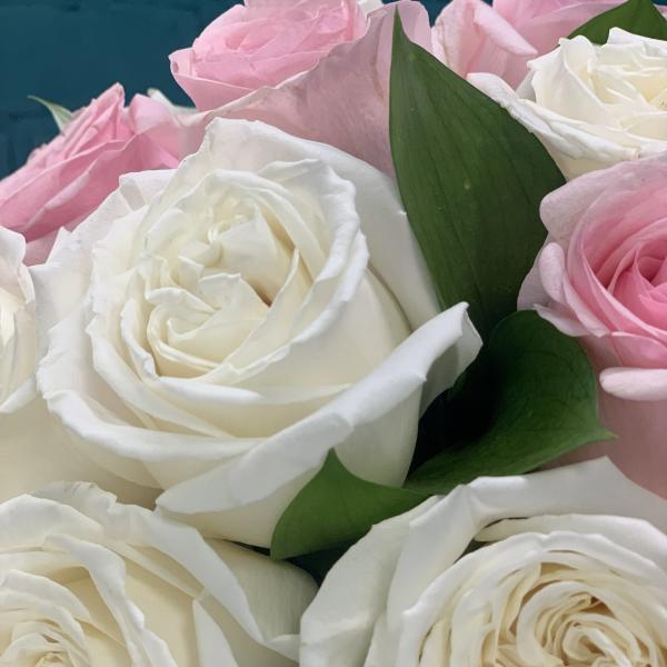 11 роз "Пудровая слабость"