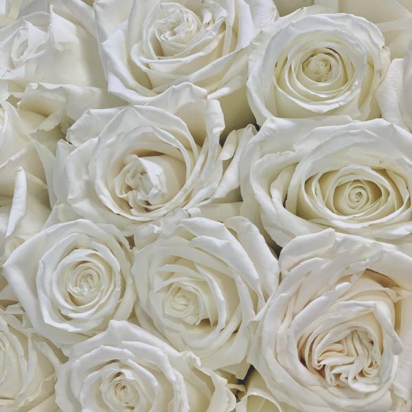 39 белых роз "Белый вальс" 