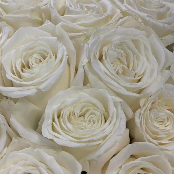 35 роз "Жемчужный шарм"