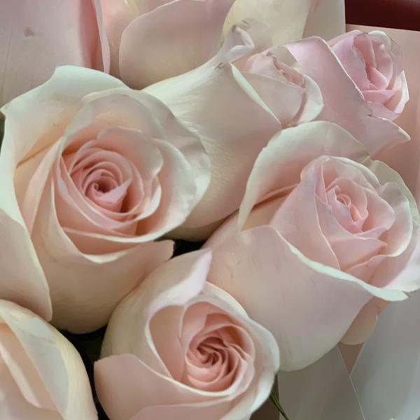 13 розовых роз "Блаженство"