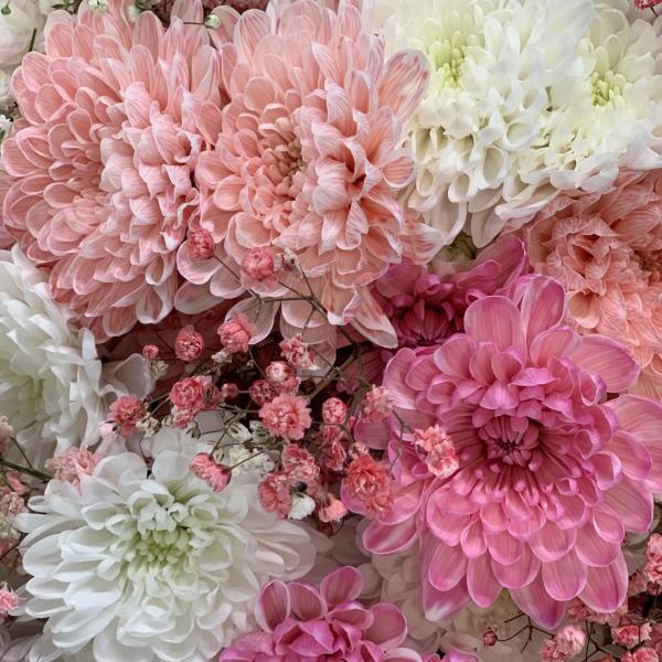  Хризантема и Гипсофила "Серенада"