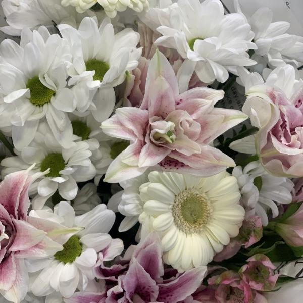  Хризантема и Лилия "Поэзия Грасса"