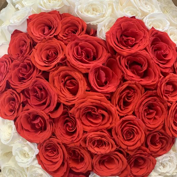 101 роза "Круэла"