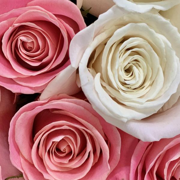 25 роз "Ароматный сон"