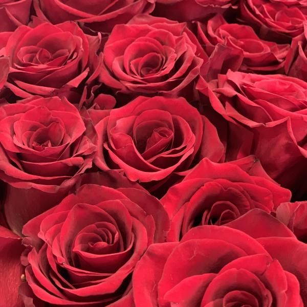 37 красных роз 80см "Возвышенная любовь" 