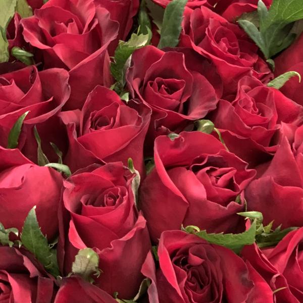 45 красных роз "Вишневое варенье" 