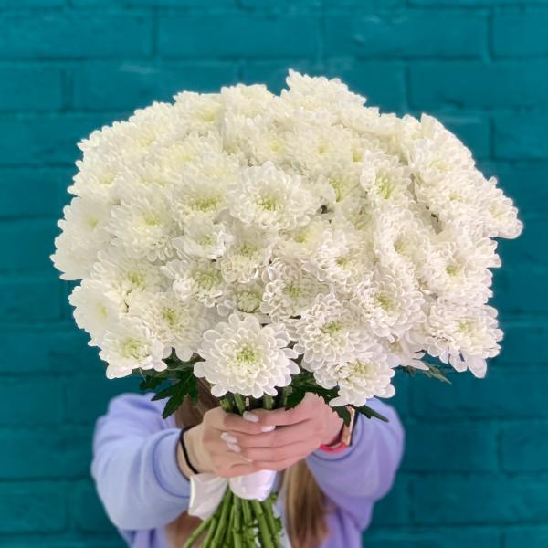 19 белых хризантем "Белый ангел"