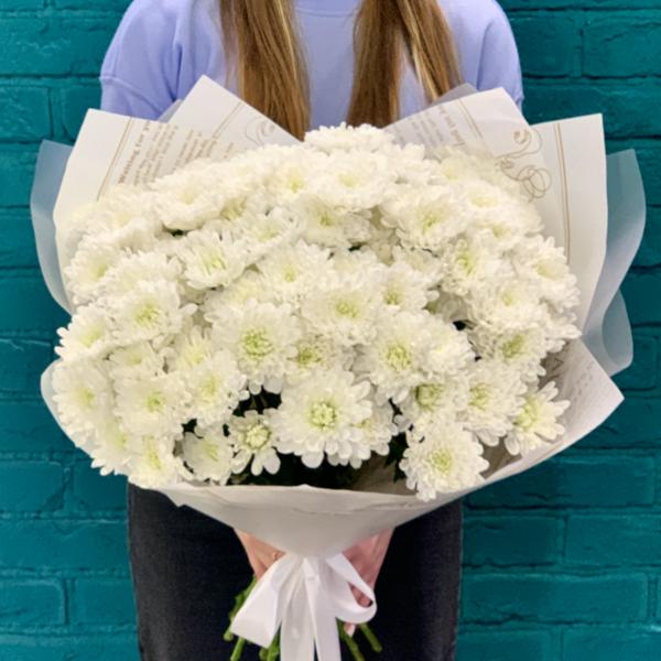 19 хризантем "Белоснежная долина"