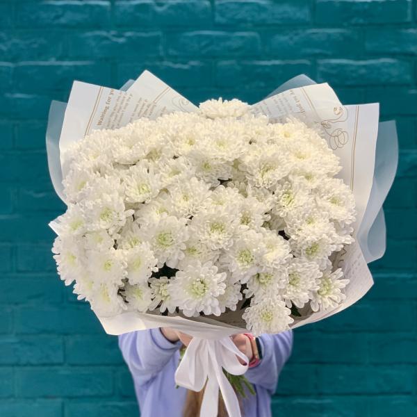 19 хризантем "Белоснежная долина"