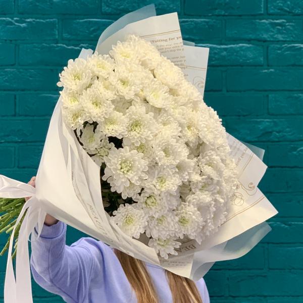 19 хризантем "Белоснежная долина"