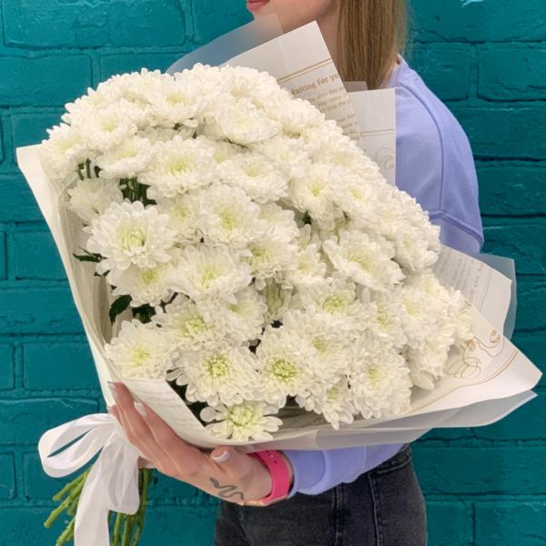 19 хризантем "Белоснежная долина"