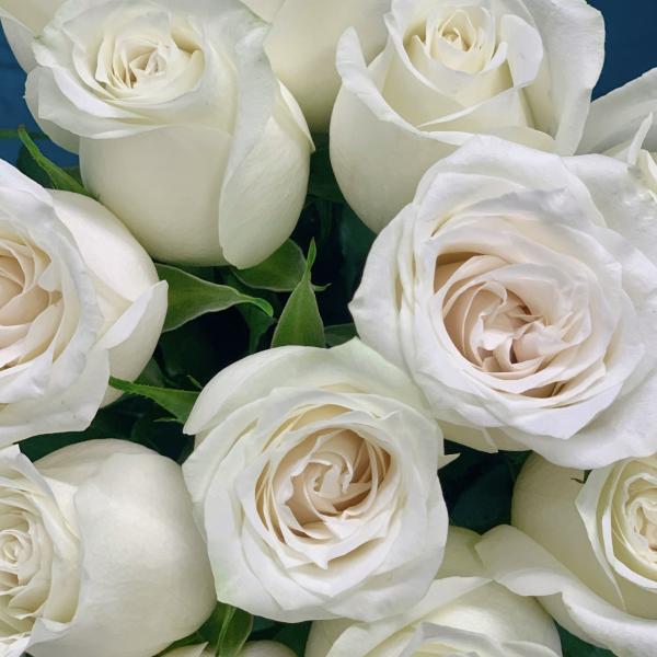 15 белых роз "Знойное лето"