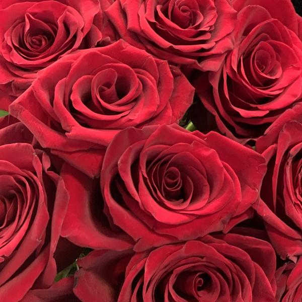 45 красных роз "Огненный поцелуй"