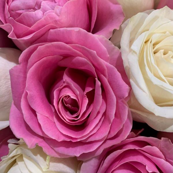 35 роз "Тайна" 