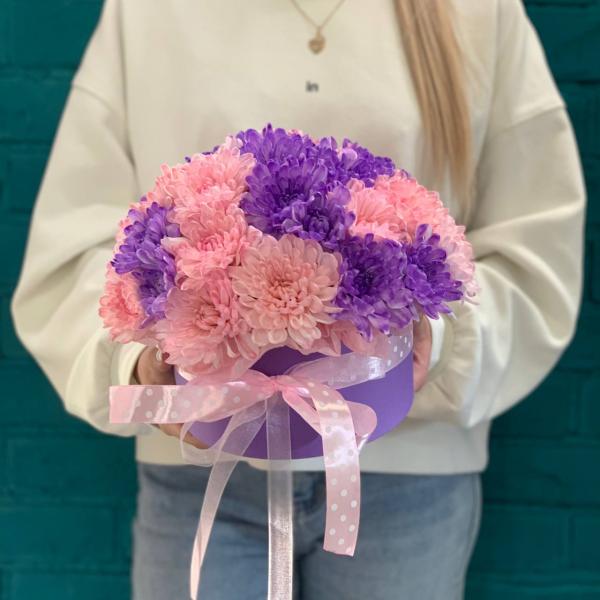 5 Хризантем "Ветролом"