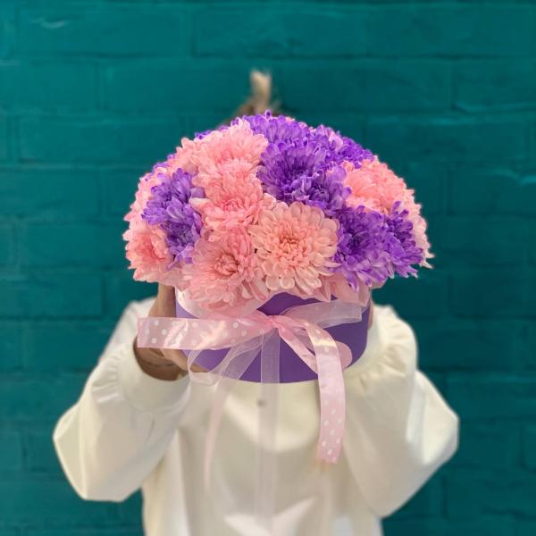 5 Хризантем "Ветролом"