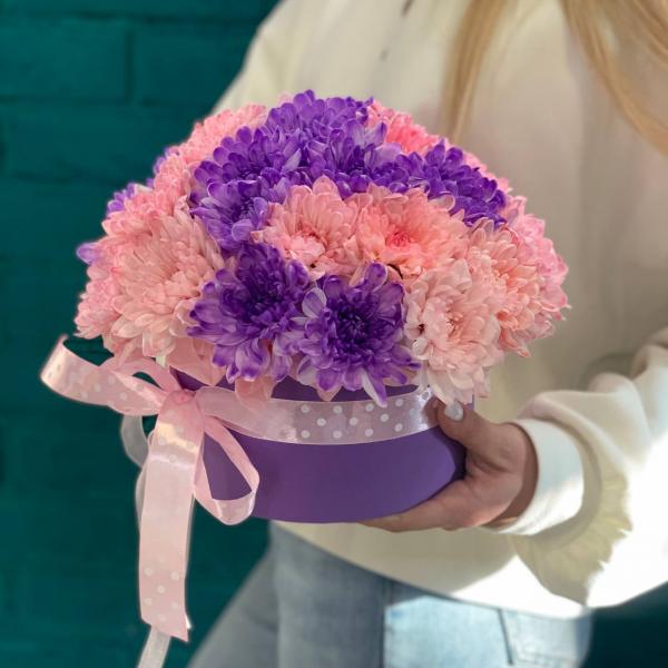 5 Хризантем "Ветролом"