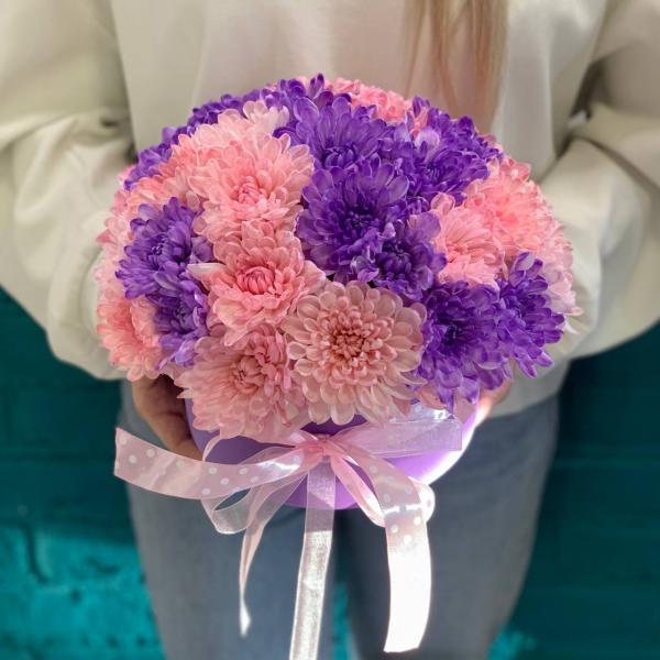 5 Хризантем "Ветролом"