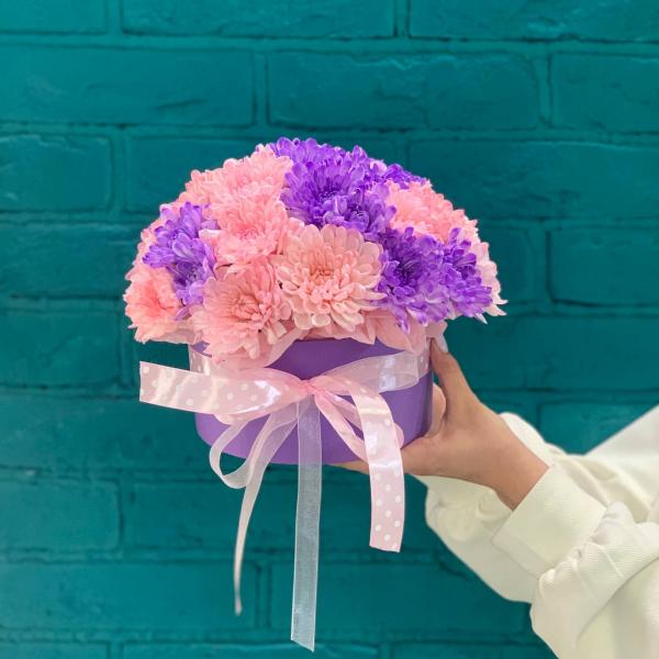 5 Хризантем "Ветролом"