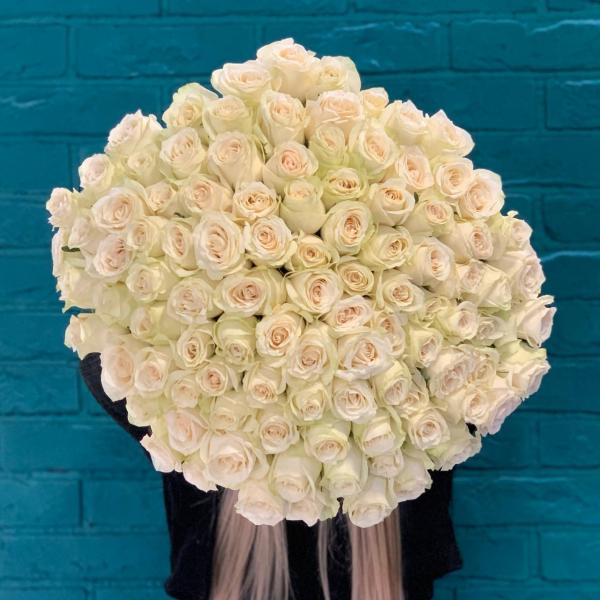 101 белая роза "Небо"