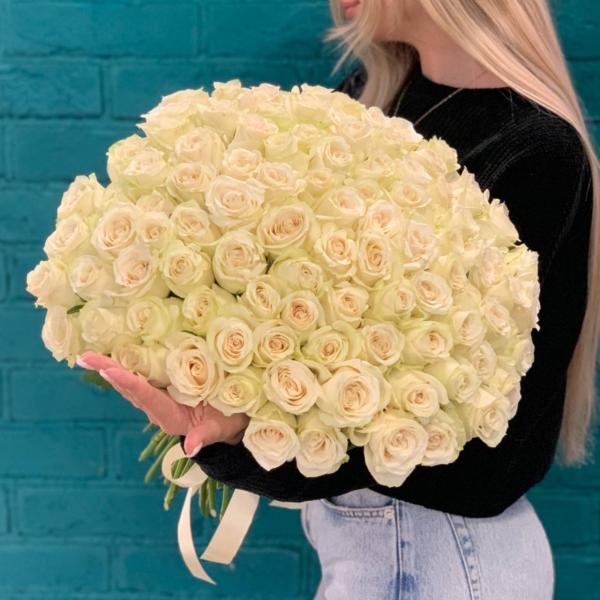 101 белая роза "Небо"